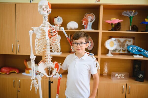 Elementary Biology - Human Kingdom