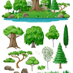 Plant Kingdom